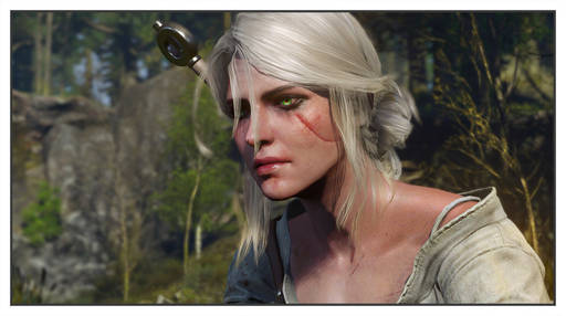 Конкурсы - Конкурс статей по игре "Ведьмак: Дикая охота" при поддержке NVIDIA, "Белый единорог" и CD Projekt RED Конкурсы - Конкурс статей по игре "Ведьмак: Дикая охота" при поддержке NVIDIA, "Белый единорог" и CD Projekt RED