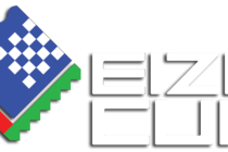 Основная часть Eizo cup